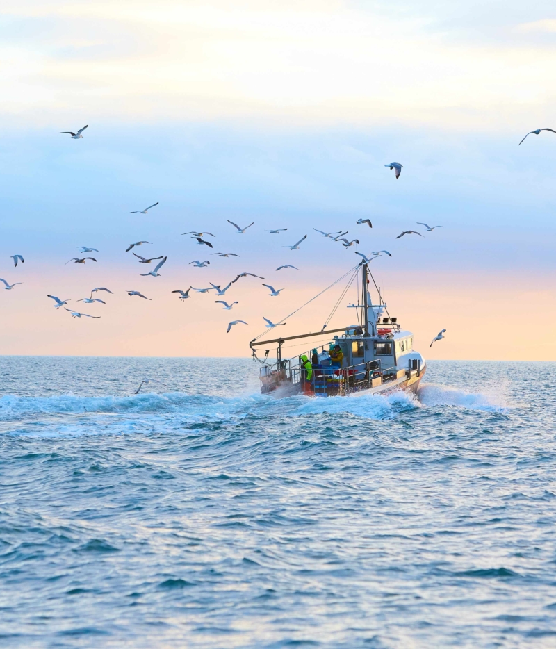 connectivity for fishing vessels at sea