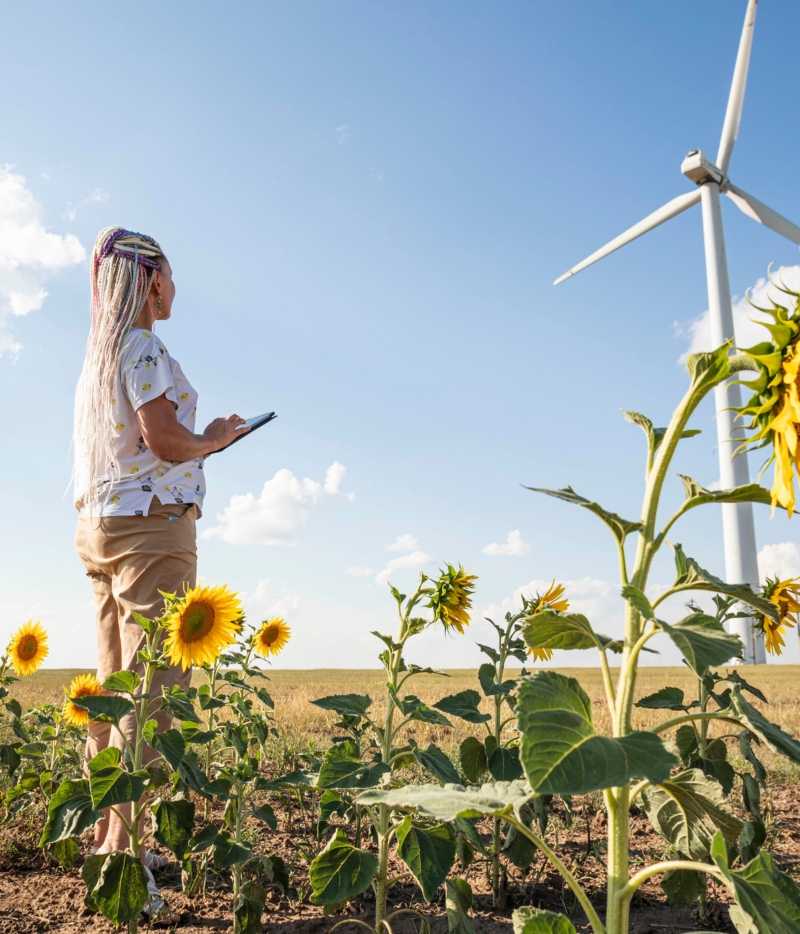 Woman using VSAT services at land windfarm